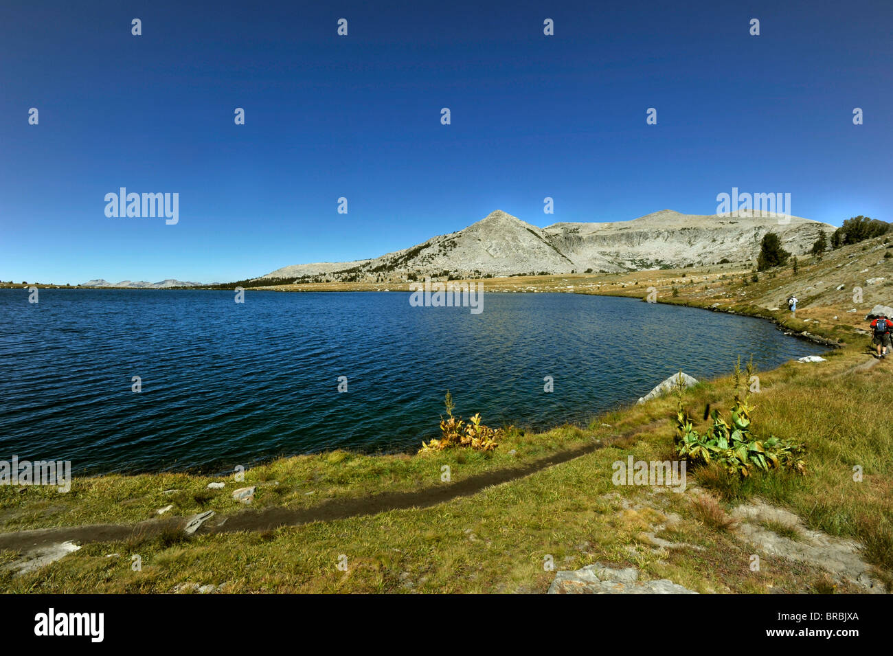 Randonnées en Gaylor Lake Sierra Nevada gamme Yosemite National Park Banque D'Images