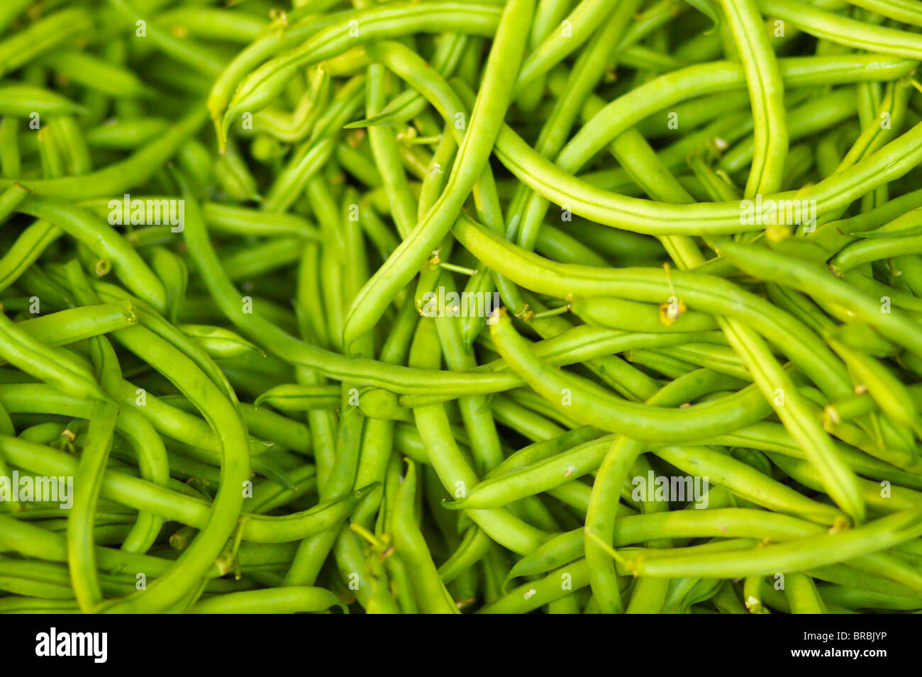 Tas de haricots verts au farmers market Banque D'Images