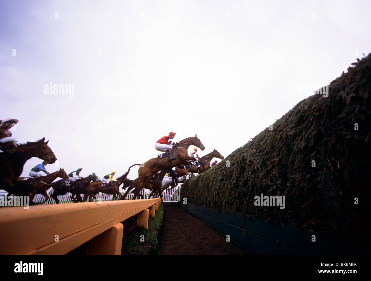 Monter des chevaux très grand steeple clôture avec main courante Banque D'Images