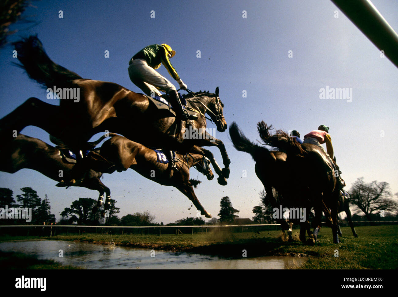 Chevaux prendre un saut dans l'eau course steeple Banque D'Images