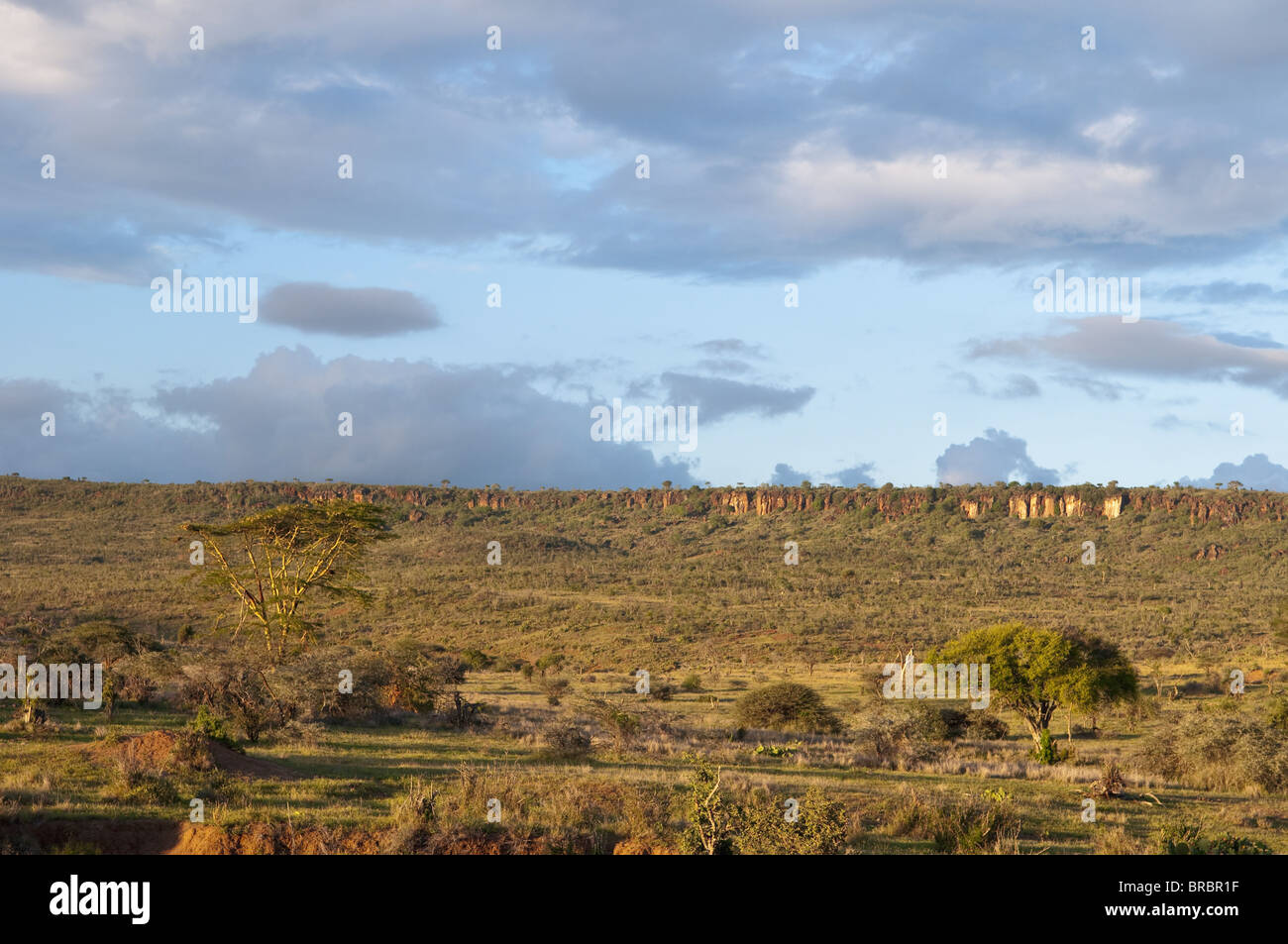 Loisaba Wilderness Conservancy, Laikipia, Kenya, Afrique de l'Est Banque D'Images