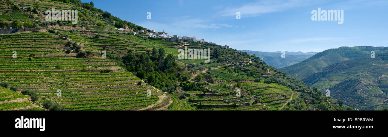 Le Portugal, l'Alto Douro, la vallée du Douro, le coeur de la zone au-dessus du vin de Pinhao Banque D'Images