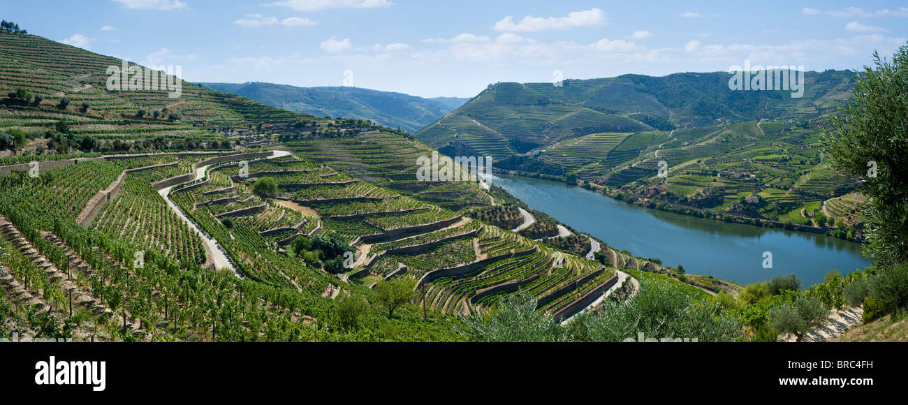 Le Portugal, l'Alto Douro, la vallée du Douro, près de peso da Regua Banque D'Images