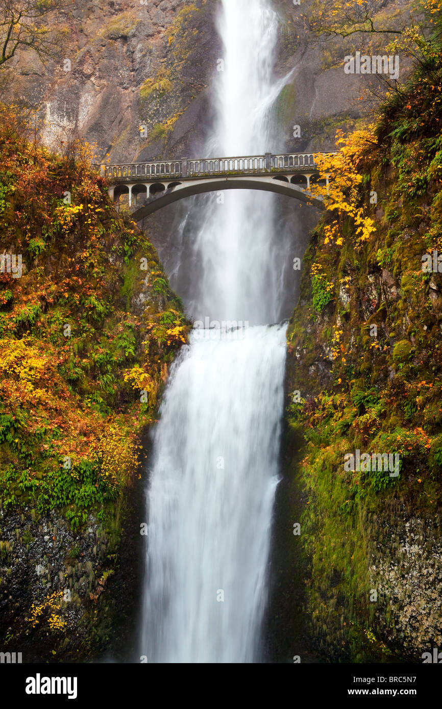 Multnomah falls chute près de Portland, Oregon. Deuxième plus haute chute d'eau toute l'année aux Etats-Unis Banque D'Images