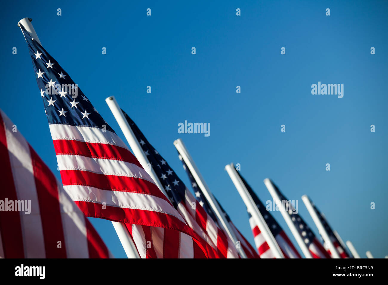 USA - drapeaux drapeaux américains dynamiques dans une rangée, sous ciel bleu clair Banque D'Images
