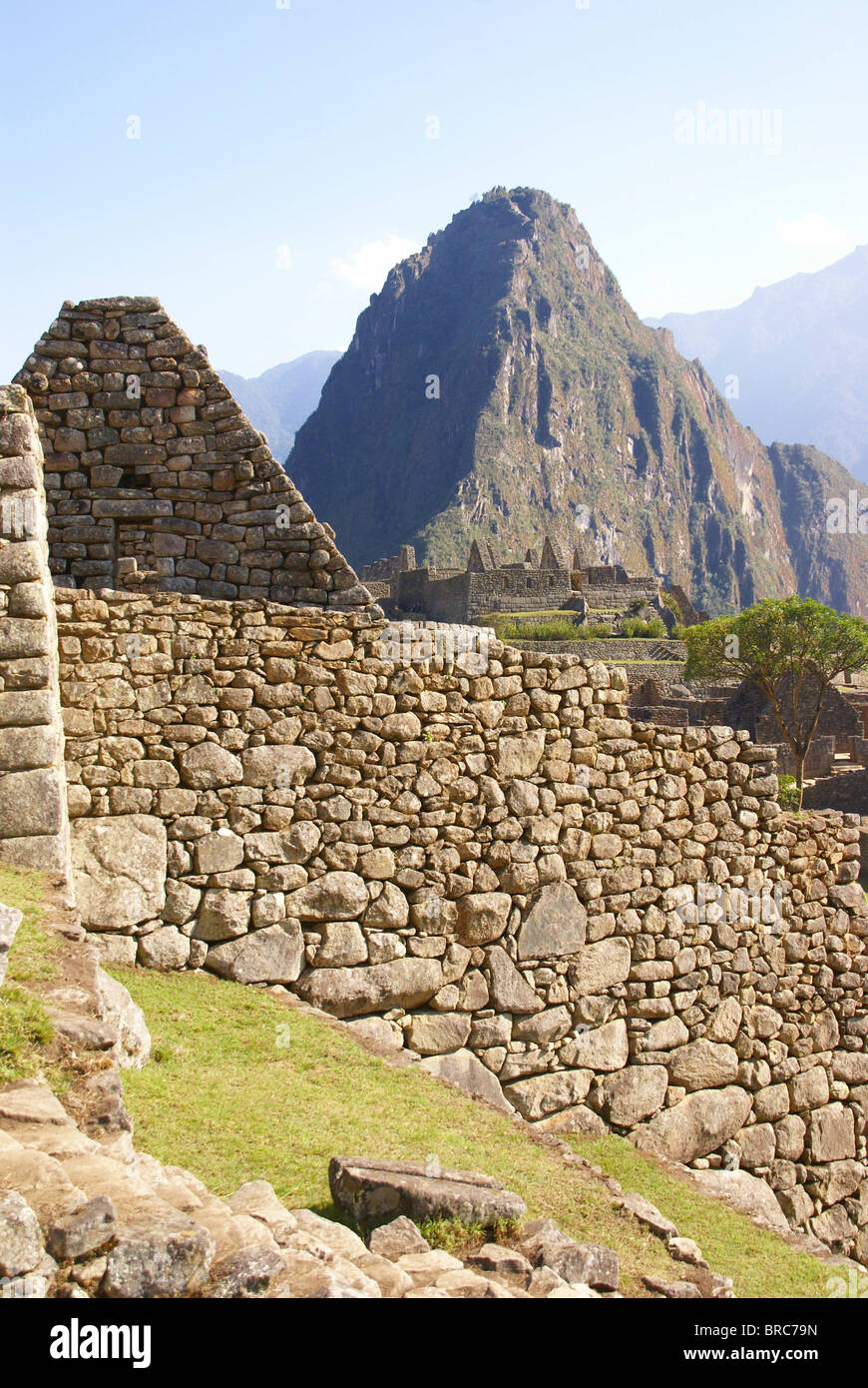 Huayna Picchu montagne surplombant les ruines Inca de Machu Picchu, Pérou, Amérique du Sud Banque D'Images