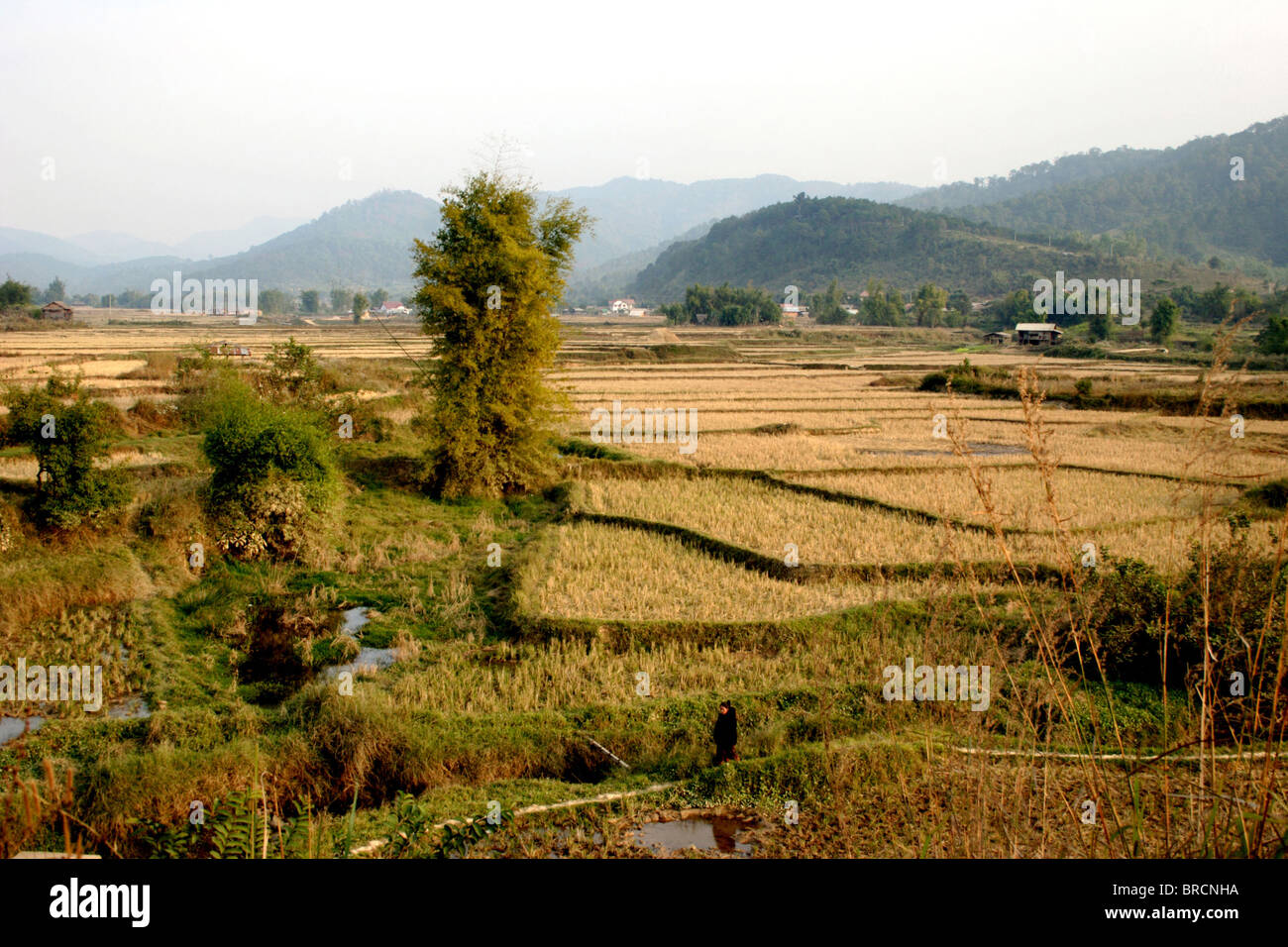 Une vue panoramique de Xieng Khoang, (Xiang Khoang, Phonsavan) Laos, contraste avec son histoire mouvementée. Banque D'Images