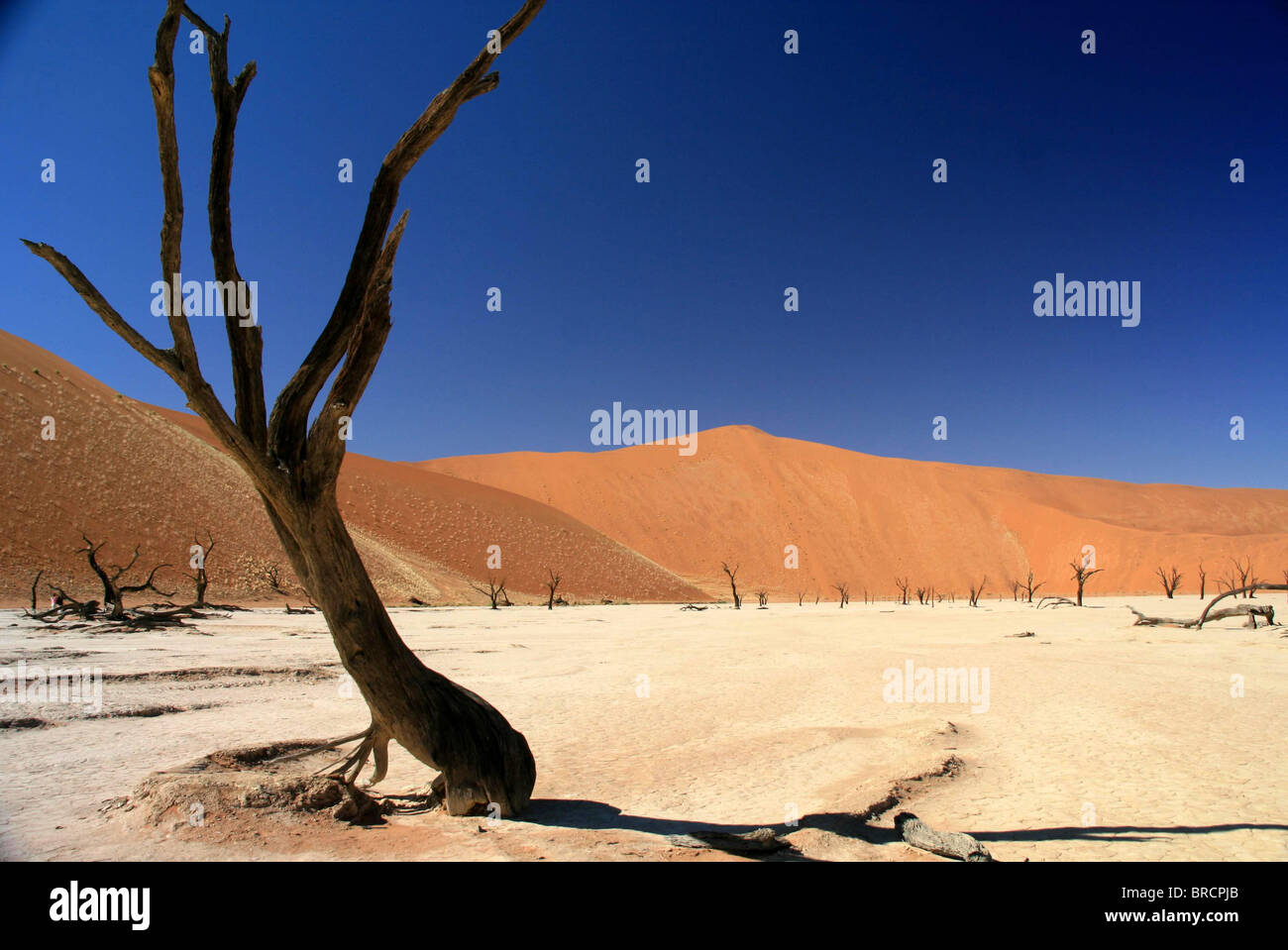 Parc Namib Naukluft Sesriem et Sossusvlei,. Banque D'Images