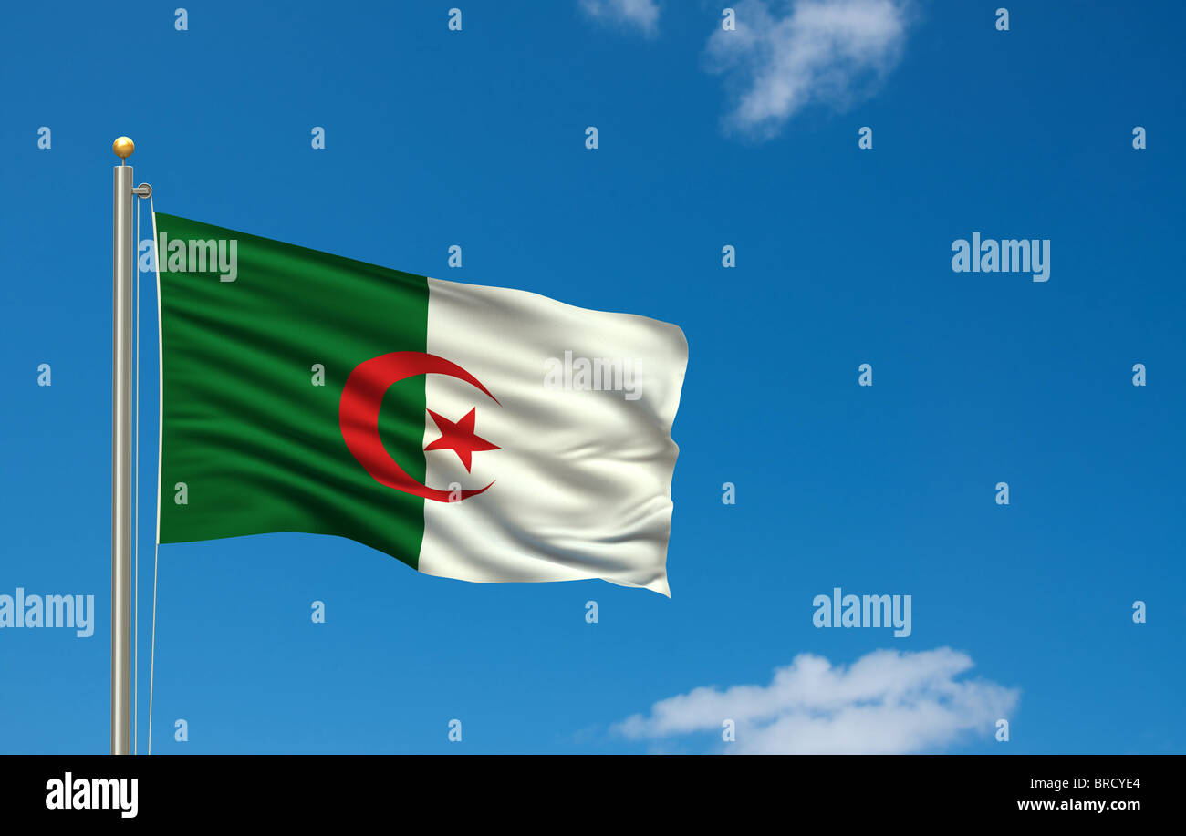 Drapeau de l’Algérie Banque D'Images