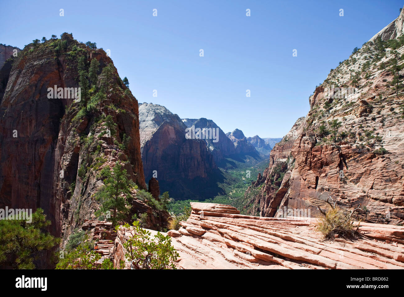 La falaise à double piste de Angels Landing dans le parc national de Zion dans l'Utah. Banque D'Images