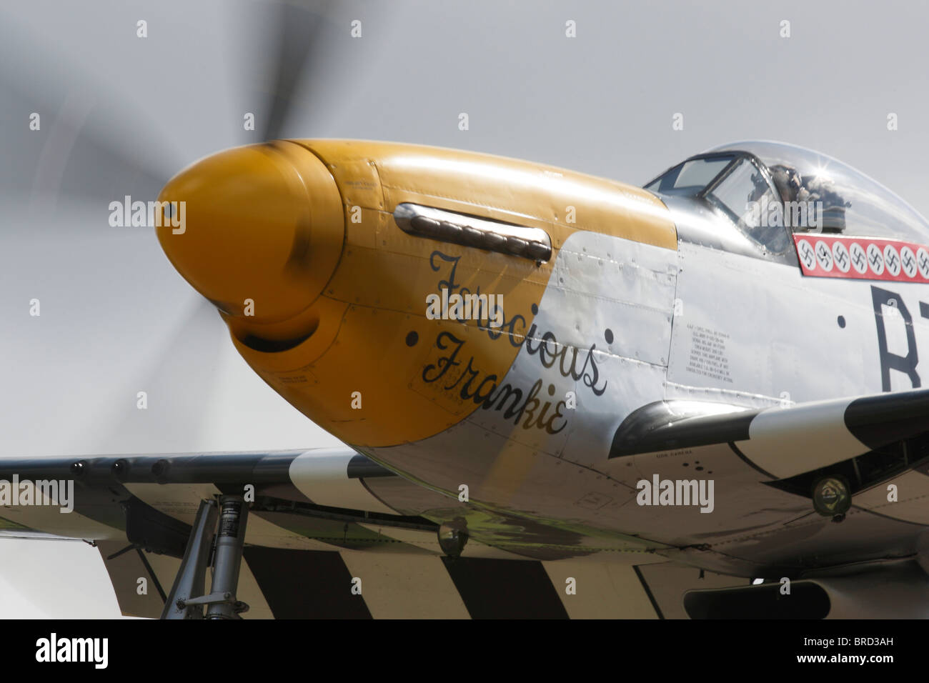 P51D Mustang Frankie féroce battant à Goodwood Banque D'Images