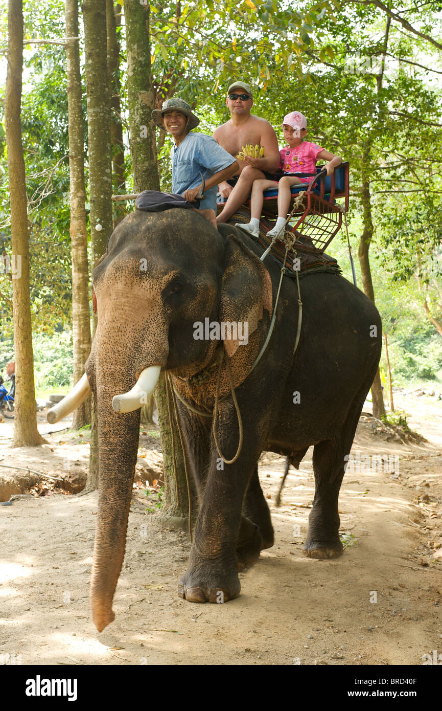 L'équitation d'éléphant, l'Île de Ko Samui, Thaïlande Banque D'Images