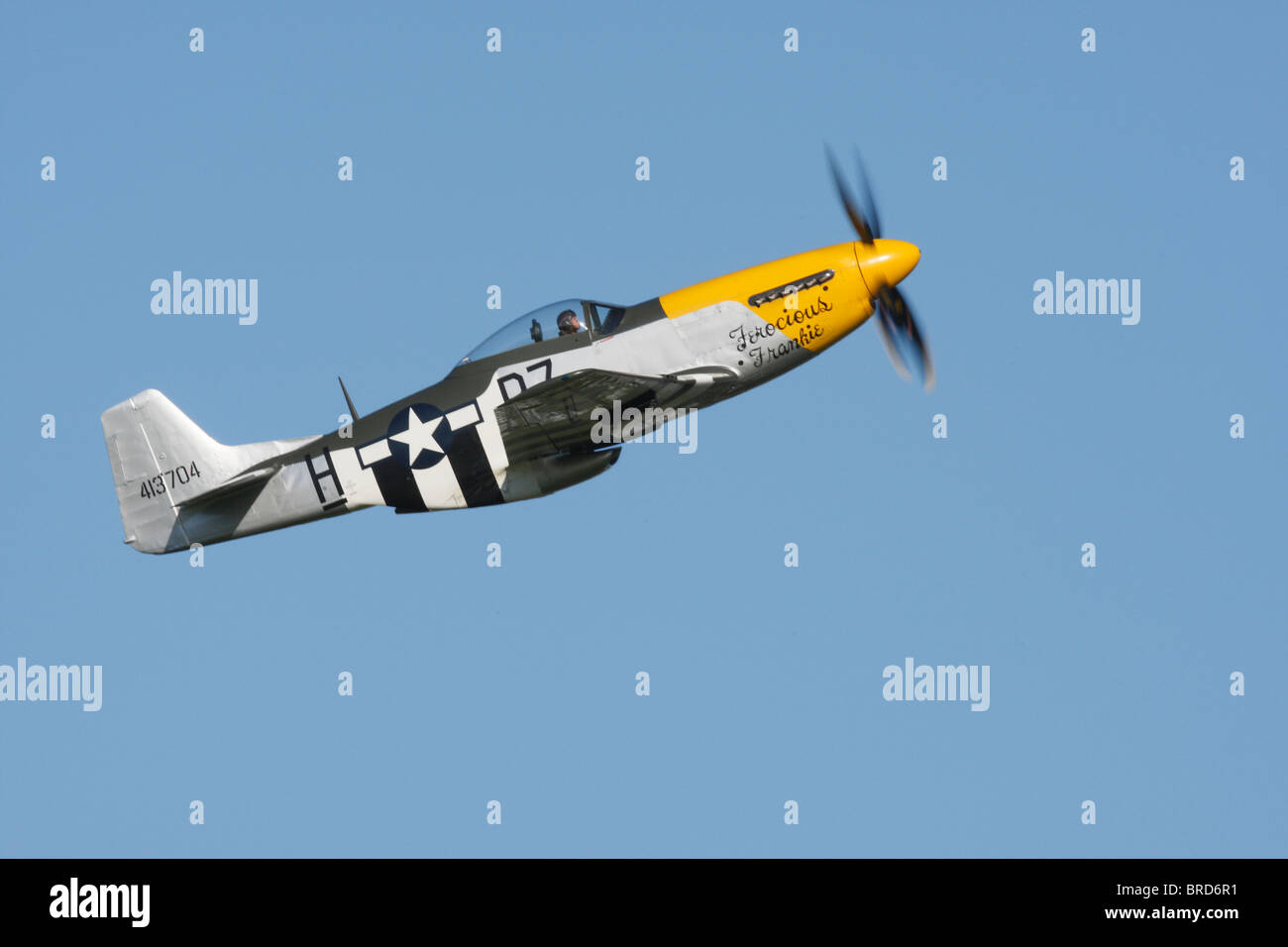 P-51D Mustang '' Frankie féroce affichage à Goodwood 2010 Banque D'Images