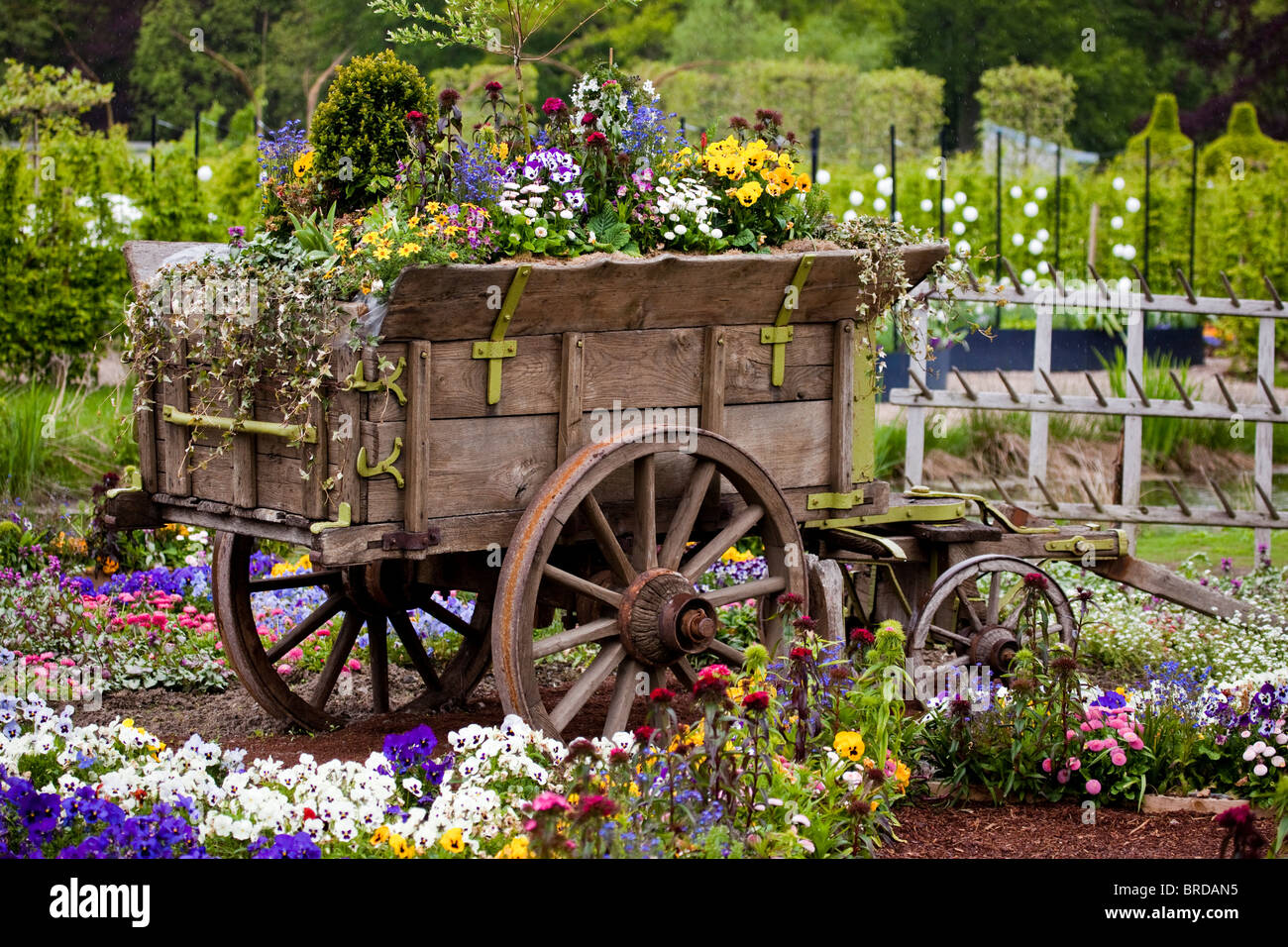 Dans un panier de fleurs dans les jardins de Schloss Ippenburg, Bad Essen, Allemagne Banque D'Images