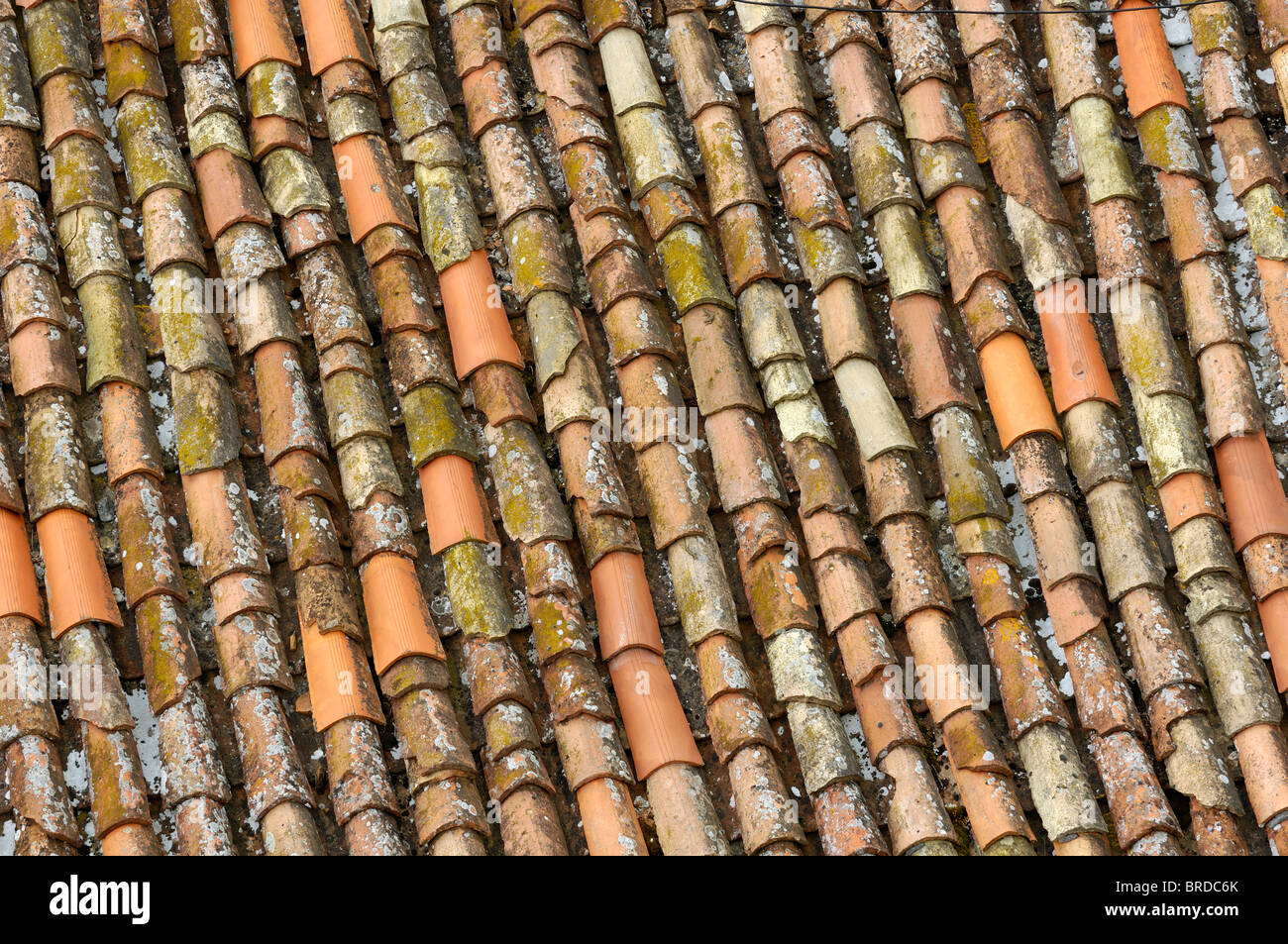 Tuiles sur le toit Banque D'Images