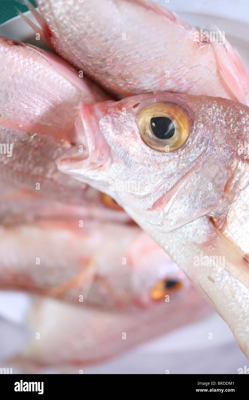 Détails de matières du poisson frais au marché, close-up Banque D'Images