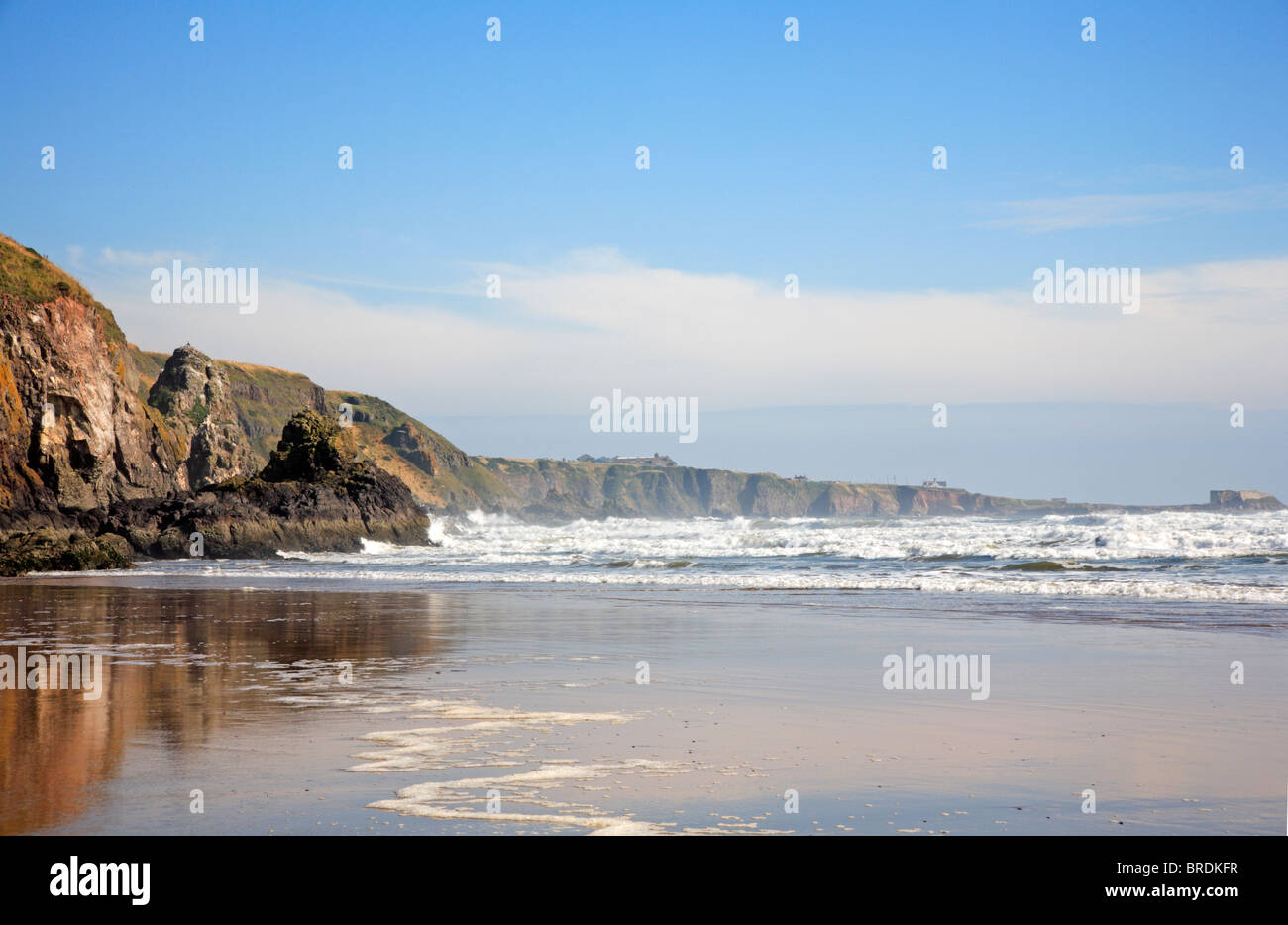 Côte Rocheuse à l'extrémité nord de Lunan Bay, Angus, Scotland, Royaume-Uni. Banque D'Images