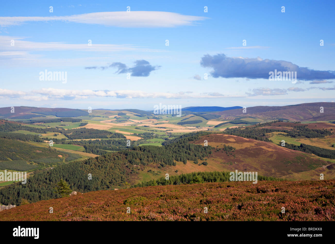 Une scène du sommet du Ben Newe vers l'est à l'échelle Strathdon, Aberdeenshire, Ecosse, Royaume-Uni. Banque D'Images