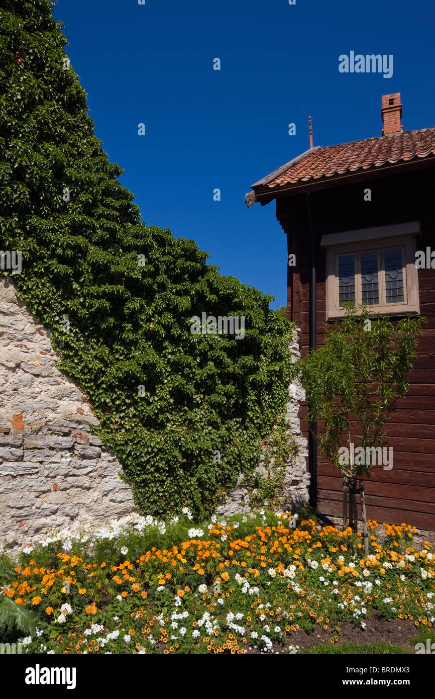 Détail de la ville hanséatique de Visby, Gotland, Suède, qui est sur la liste du patrimoine mondial de l'UNESCO. Banque D'Images