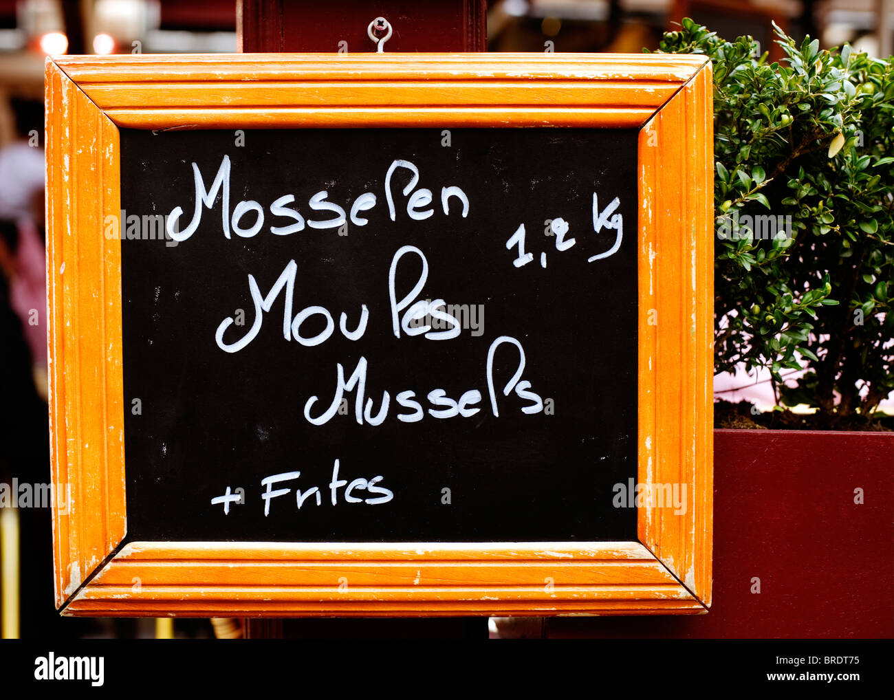 Restaurant menu-board, Moules frites, Bruges, Belgique, Europe Photo Stock  - Alamy
