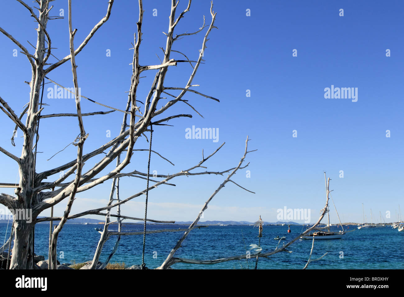 Mer bleue de la Méditerranée au premier plan des branches d'arbres séchées Banque D'Images
