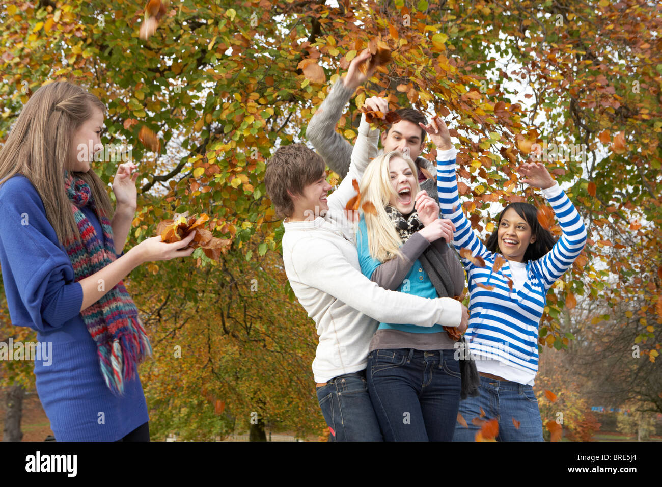 Groupe d'amis adolescents Jeter feuilles en paysage d'automne Banque D'Images