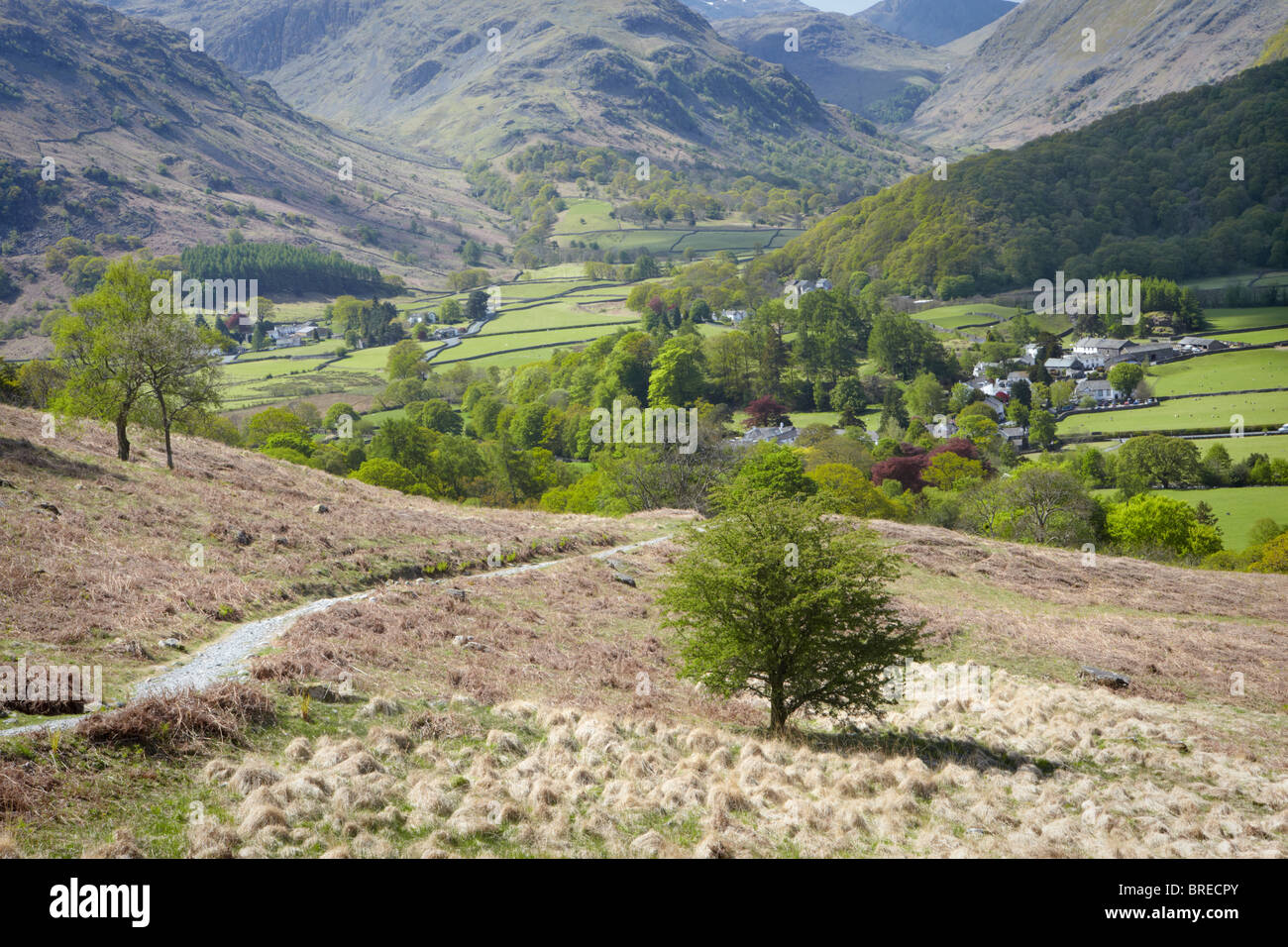 Regarder sur Rosthwaite village de Borrowdale à partir de la voie de Watendlath, près de Keswick, Cumbria Banque D'Images