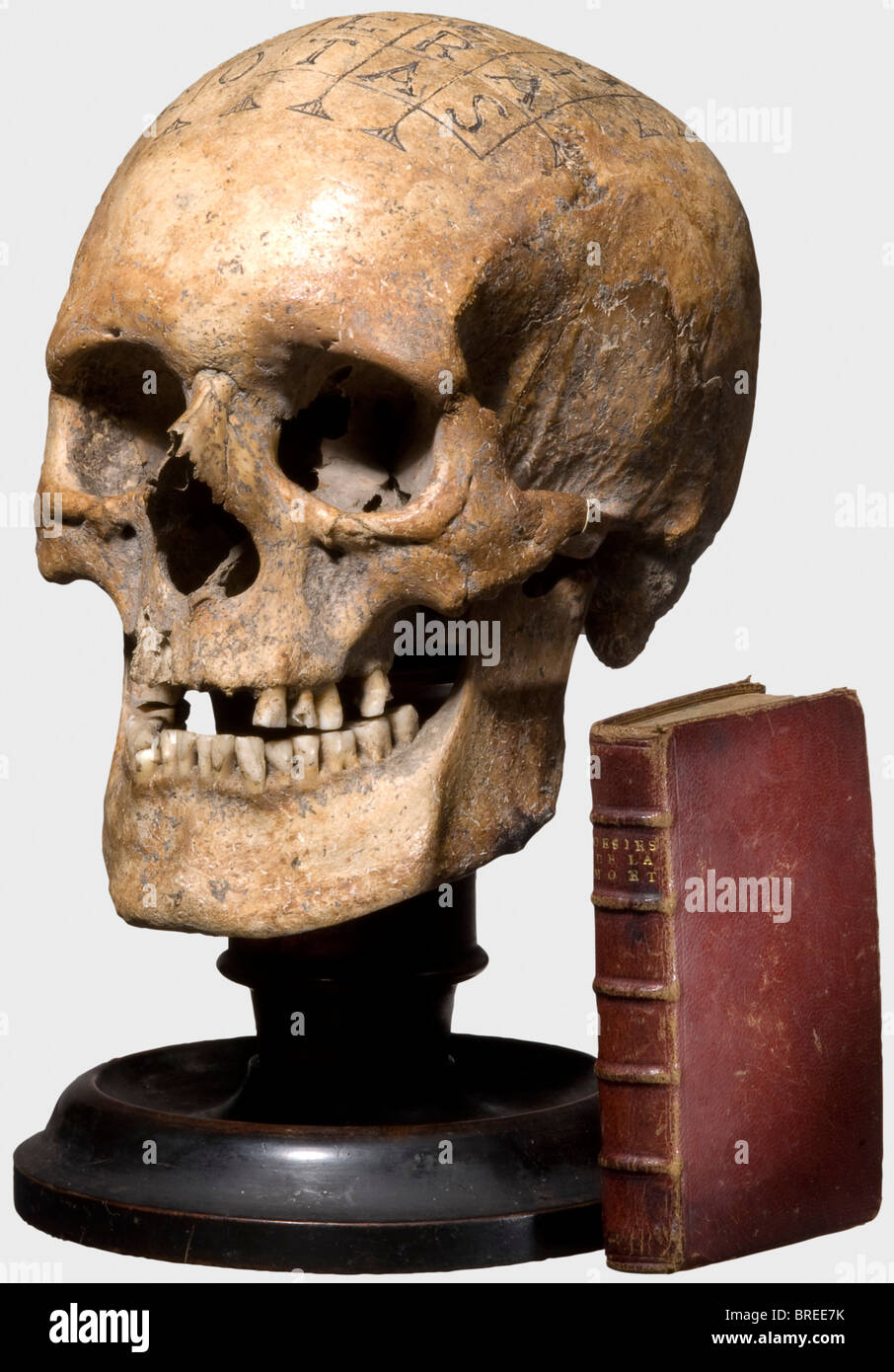 Crâne humain avec carré magique, allemand, 16ème/17ème siècle Bien préservé, ancien crâne romain/celtique avec mâchoire inférieure et de légères restes d'incrustations. Certaines dents sont manquantes, certaines partiellement cassées, le côté droit du crâne est endommagé. Le skullcap avec une gravure du XVIe/XVIIe siècle, une place magique avec la formule Siator. Les lignes gravées avec des restes de noircissement. Monté sur un support en bois de date ultérieure, env. 1800. Hauteur 27 cm. Un petit livre avec une couverture en cuir en relief doré: Henry Fricx, "les déRS de la mort", Bruxelles 1773. La magie, Banque D'Images