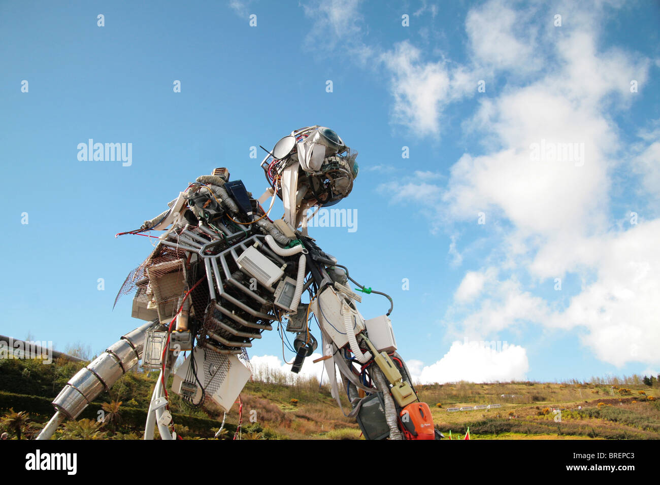 Eden Project,Cornwall Banque D'Images