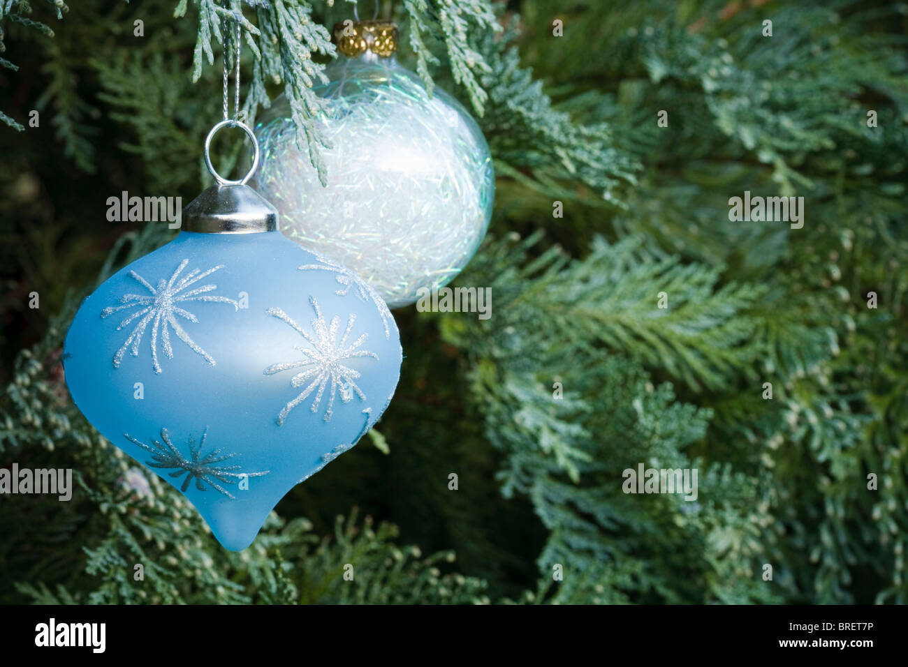 Décorations de Noël accroché dans un arbre à feuilles persistantes Banque D'Images