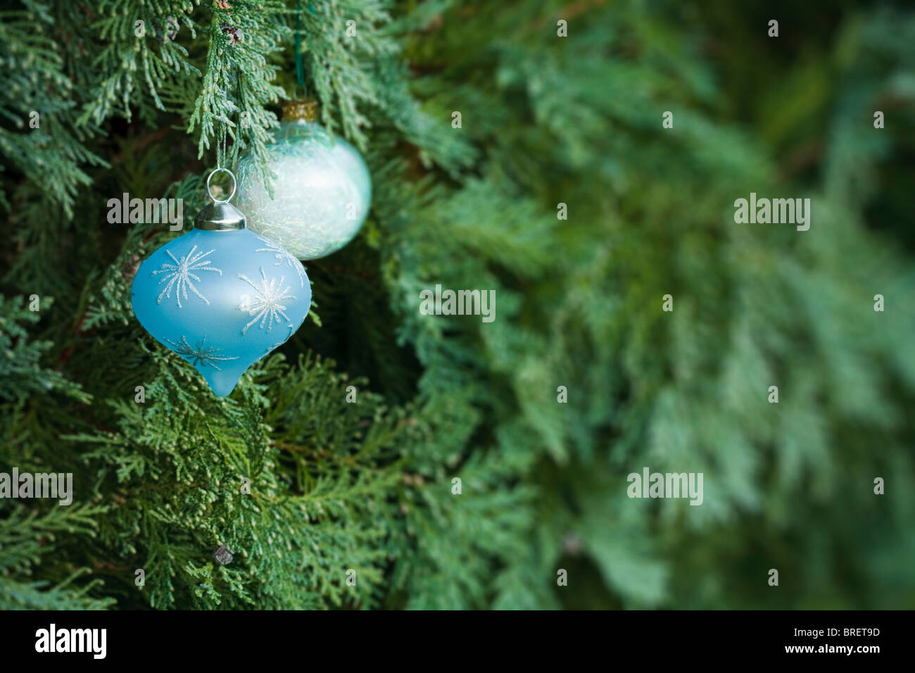 Décorations de Noël accroché dans un arbre de Noël avec beaucoup de copy space Banque D'Images