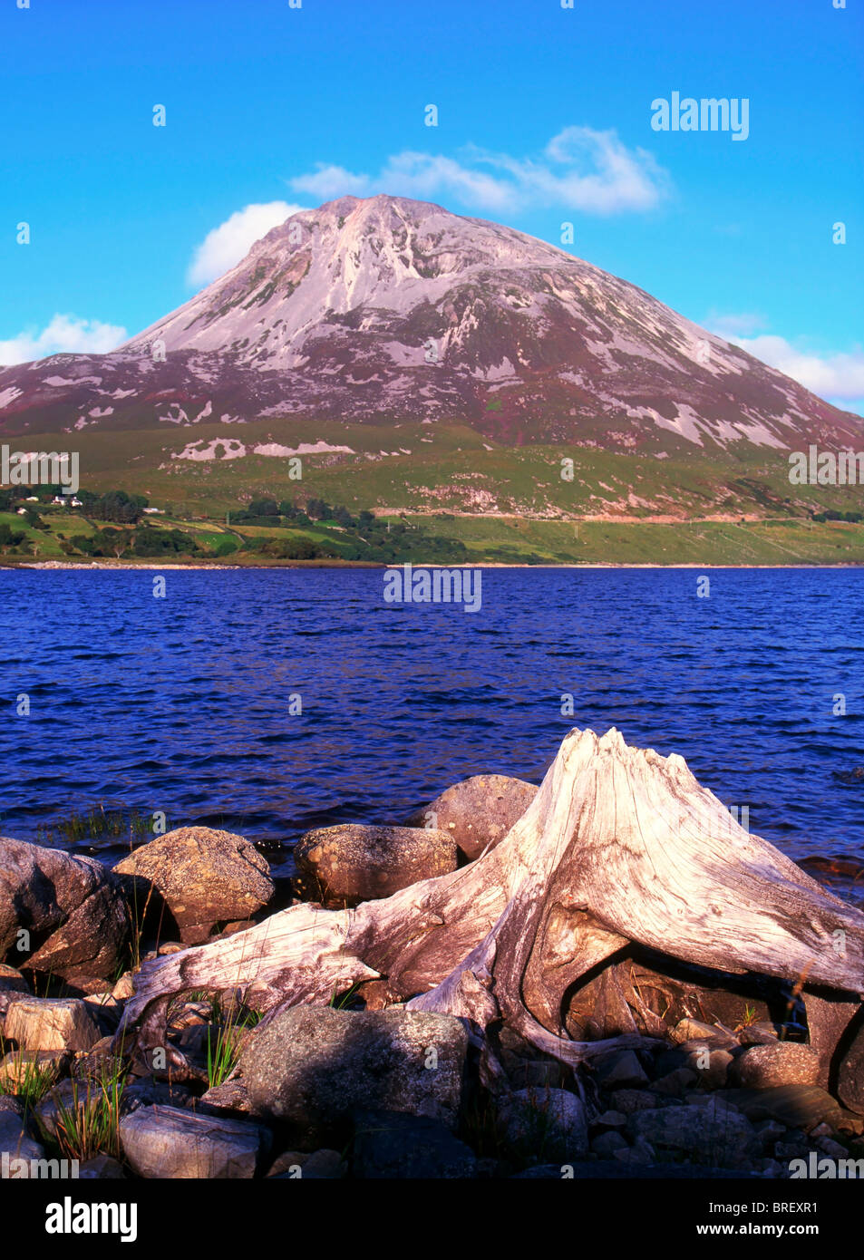 Le Mont Errigal, Co Donegal, Irlande, de Causeway à Dunlewy Banque D'Images