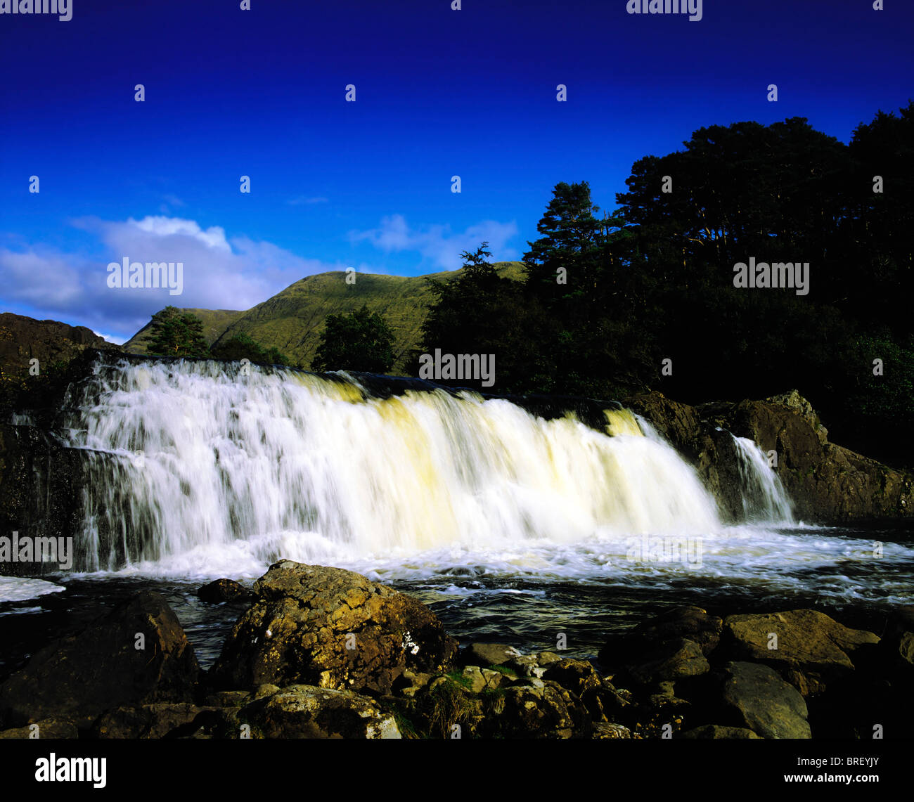 Ashleigh Falls, Leenane, Mayo, Irlande Banque D'Images