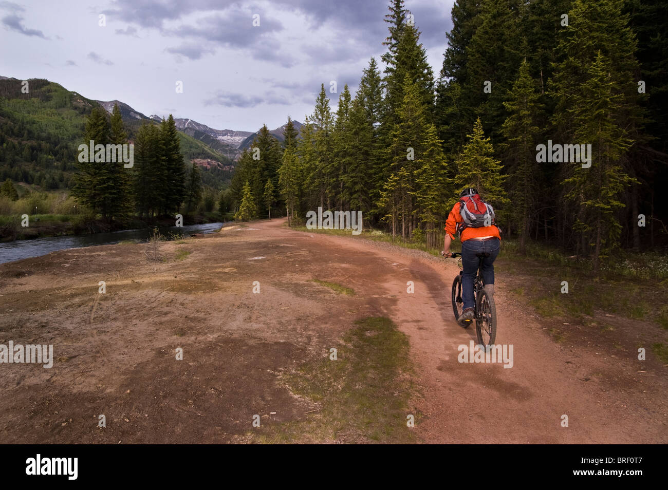 Man mountain biking in Uncompahgre National Forest, Telluride, Colorado, USA. Banque D'Images