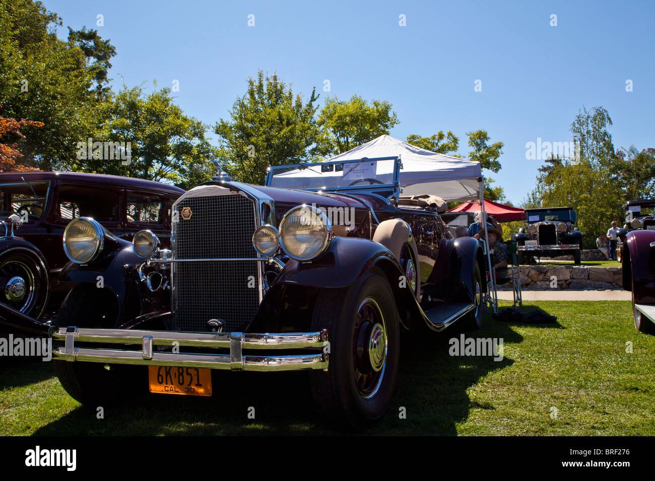 Une Pierce Arrow 1930 Roadster 2010 B à l'Ironstone Concours d'elégance Banque D'Images