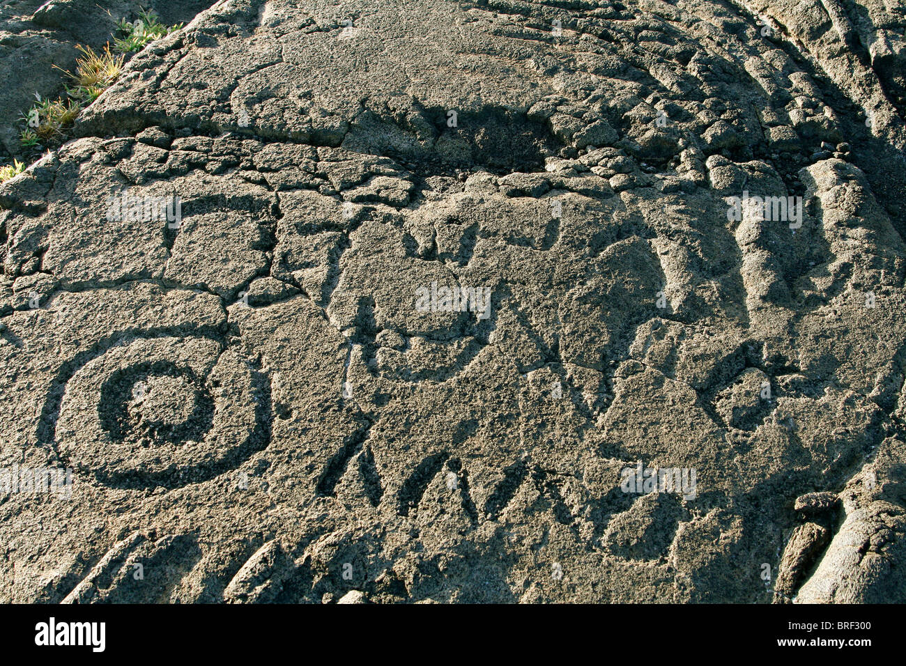 Petroglyph, Pu'u Loa Petroglyph Trail Banque D'Images