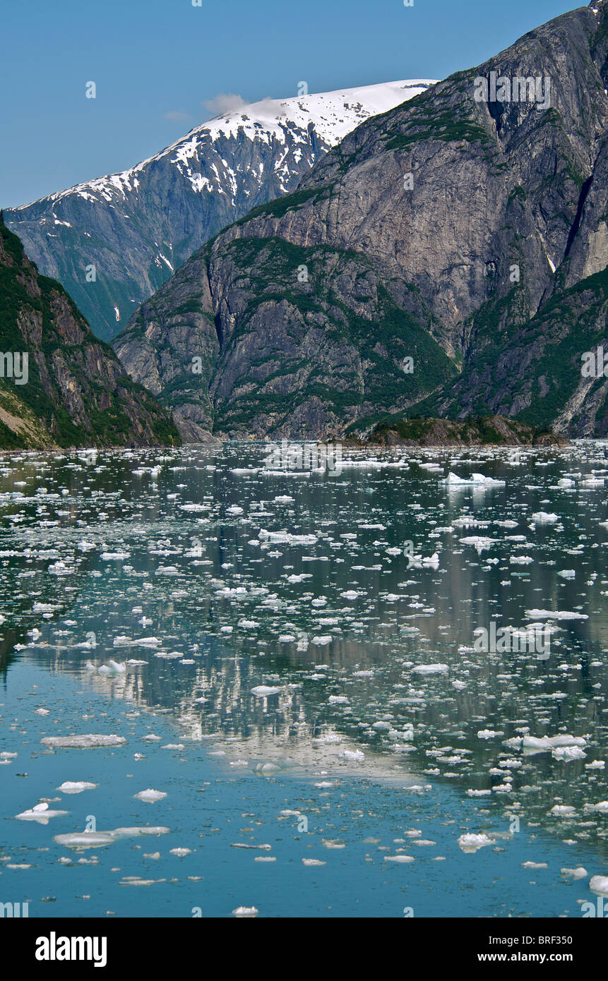 L'écoulement de la glace de glacier Sawyer fjord Tracy Arm Le passage de l'intérieur de l'Alaska États-Unis Banque D'Images