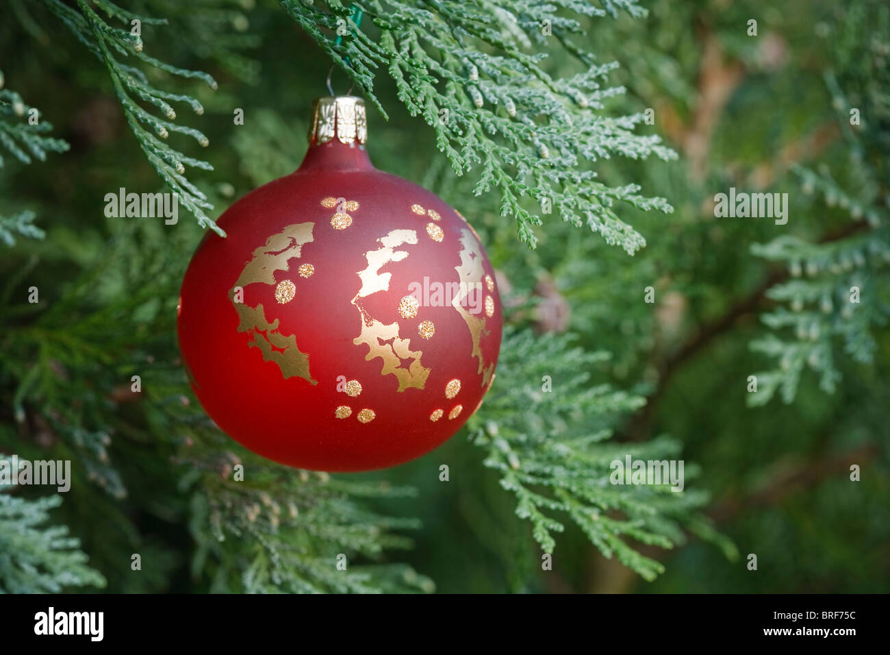 Libre d'une décoration de Noël accroché dans un arbre de Noël Banque D'Images
