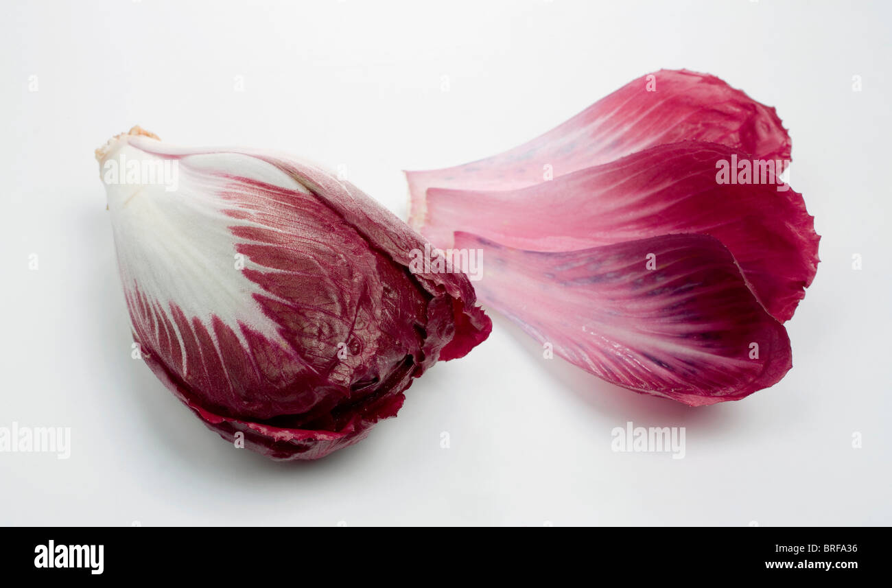 Les endives rouges contre fond blanc Banque D'Images
