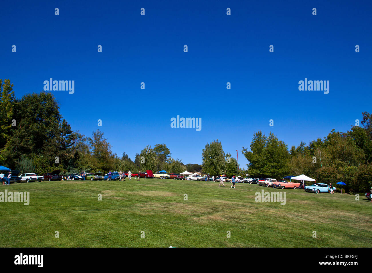 Sommaire des voitures américaines des années 50 et 60, à l'édition 2010 du Concours d'élégance de l'Ironstone Banque D'Images