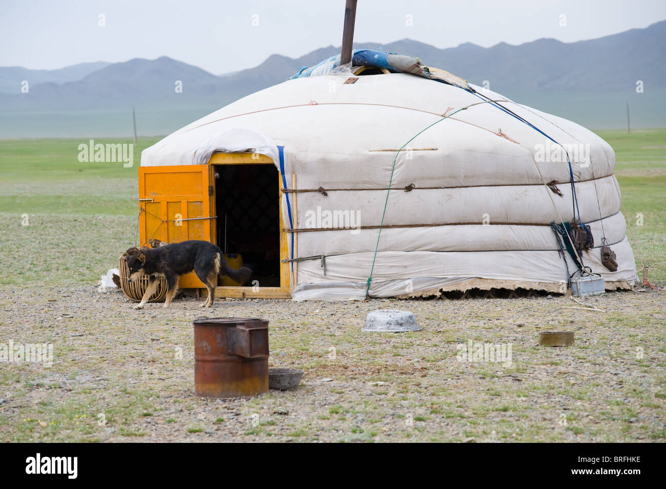 Yourte Mongole avec un chien dans la steppe Banque D'Images