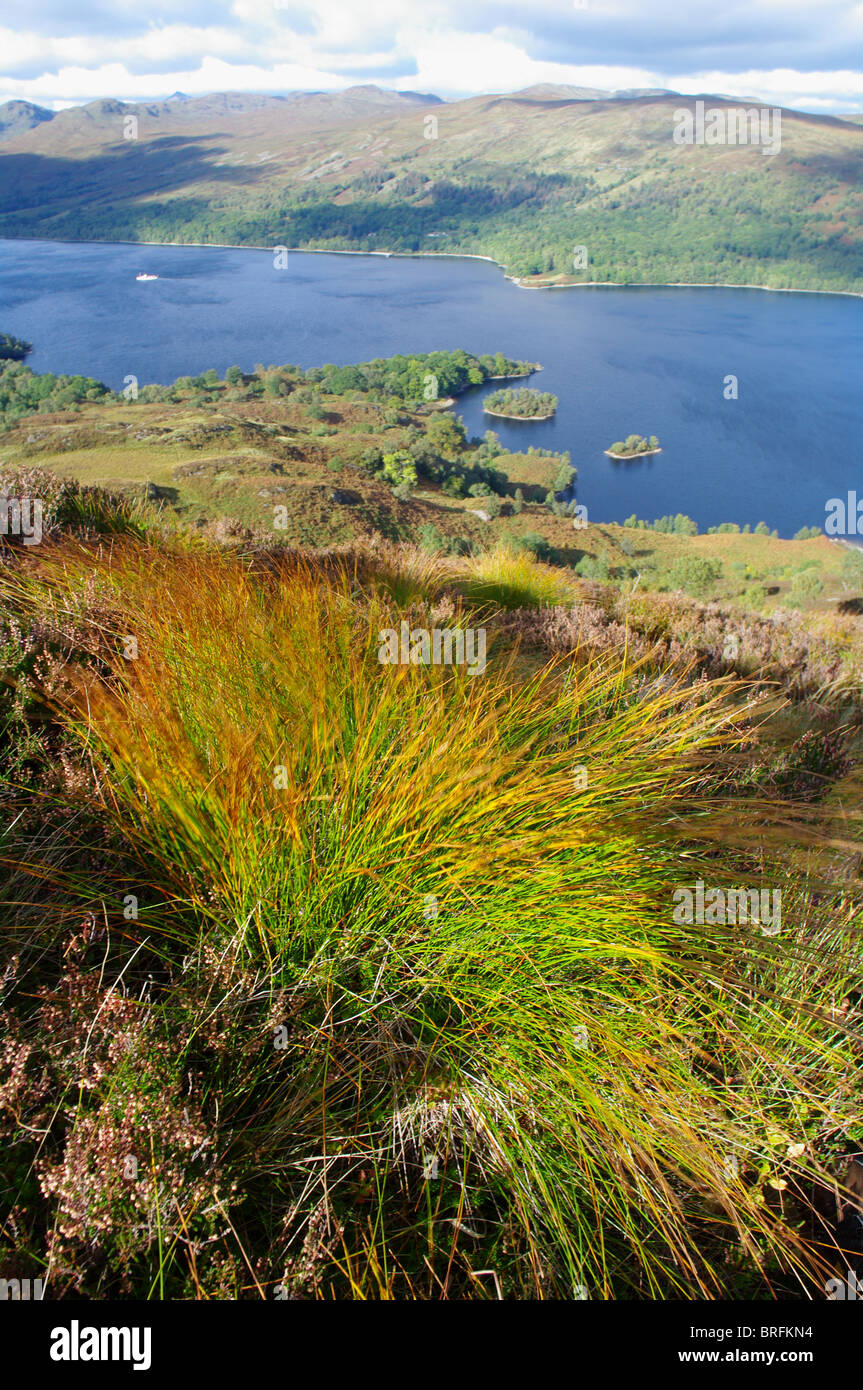 Vue de Loch Katrine Les Trossachs Stirlingshire Scotland UK Banque D'Images