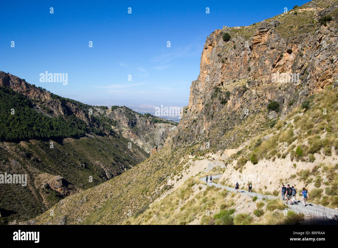 Zone gorge monachil Sierra Nevada National Park Espagne Europe Banque D'Images
