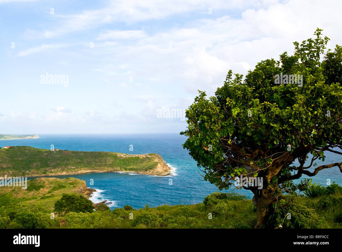 Indian Creek Point , Antigua, Antilles, Caraïbes, Amérique Centrale Banque D'Images