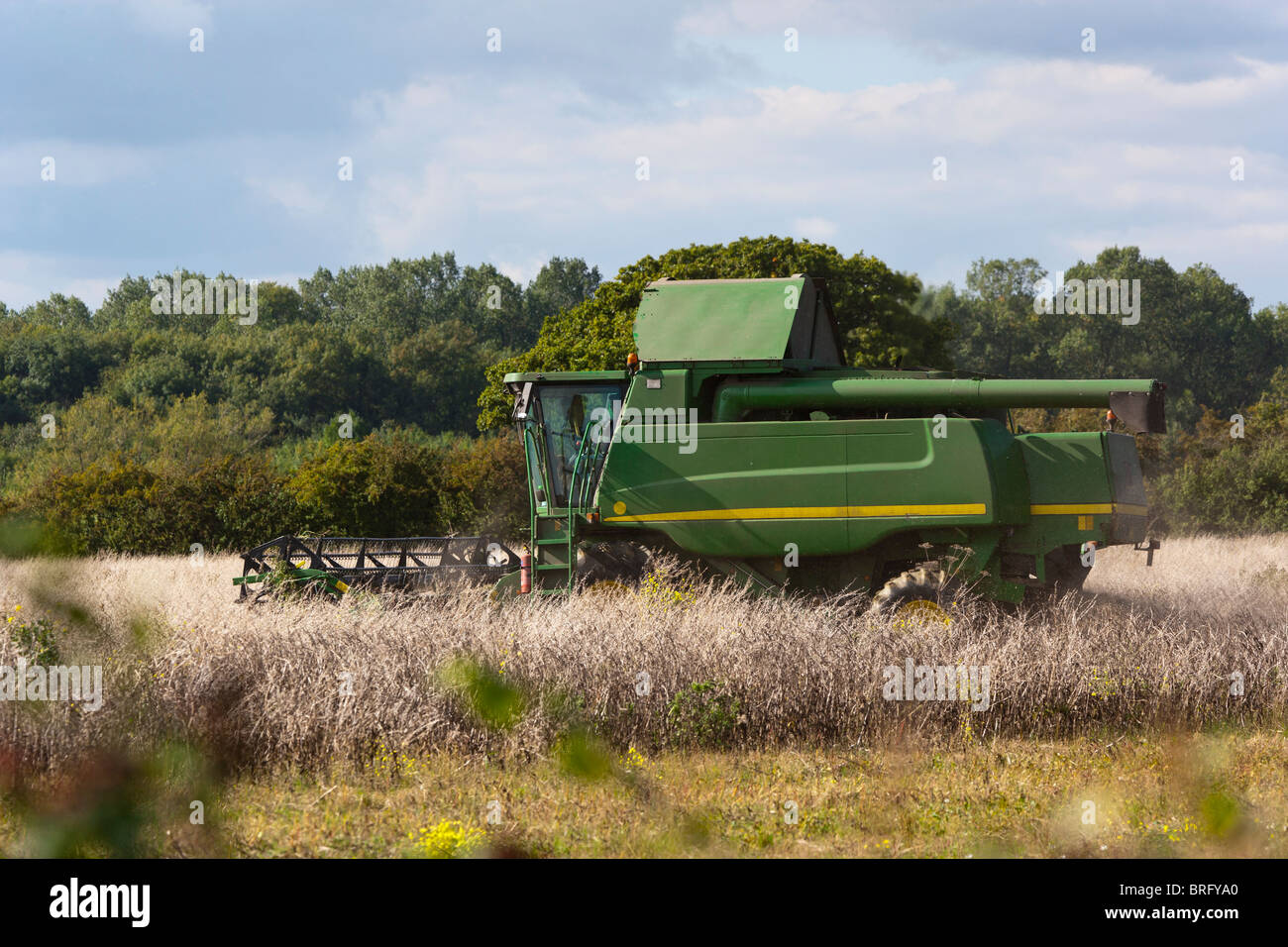Machines moissonneuse-batteuse John Deere Harvester in Field Banque D'Images