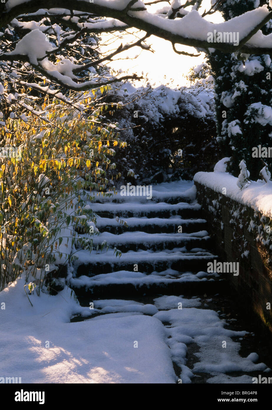 Scène de neige avec quelques marches encadrées avec un snow laden bough et feuilles d'automne jaune sur un arbuste buissonnant. Banque D'Images