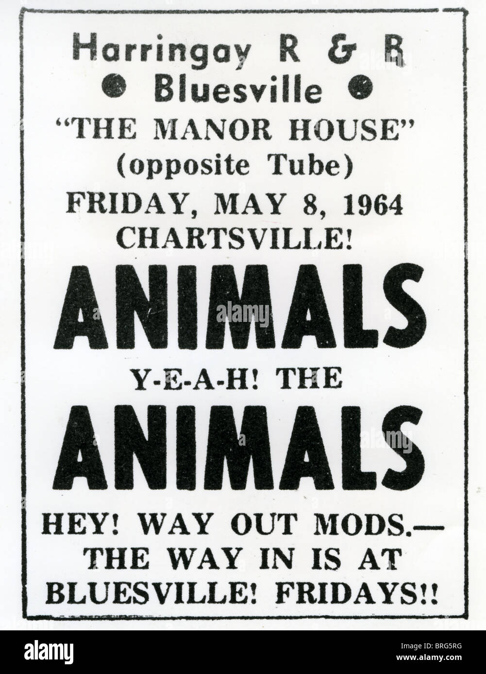 Animaux club de Londres annonce pour le groupe d'animaux en mai 1964 Banque D'Images