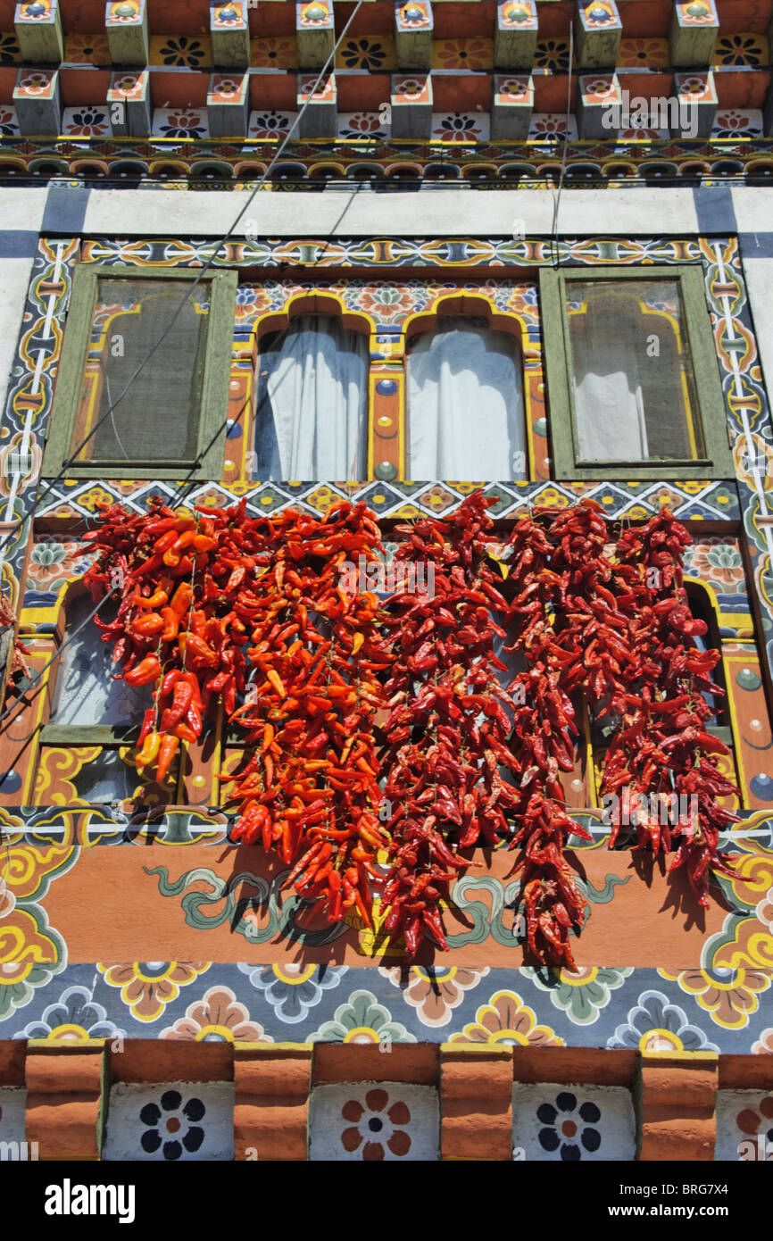 Séchage des piments, Paro, Bhoutan. Banque D'Images