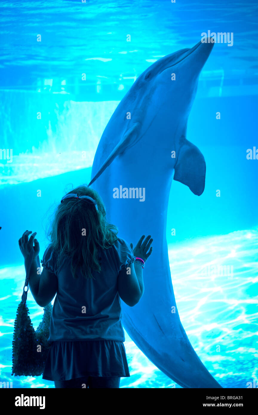 Petite fille de 7 ans regarde les dauphins à la Texas State Aquarium à Corpus Christi, au Texas. Banque D'Images