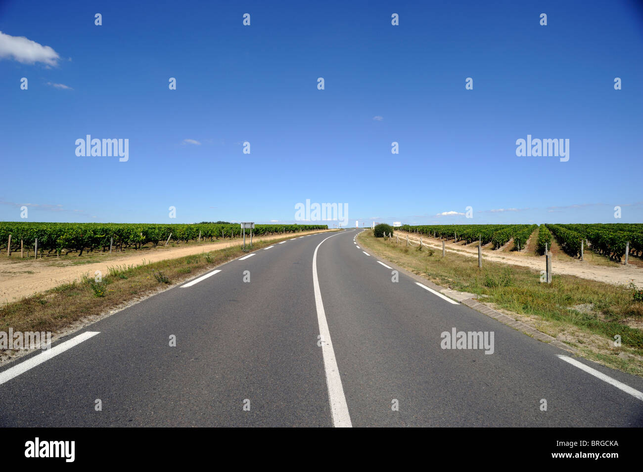 France, Bordeaux, vignobles du Médoc, route des vins Banque D'Images